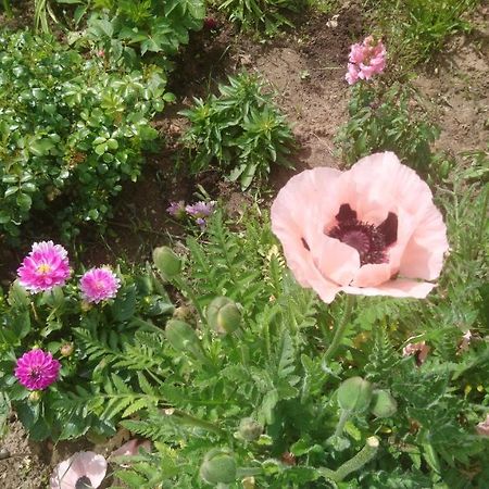 Le Bonheur A Portee De Mains Bergerac Zewnętrze zdjęcie