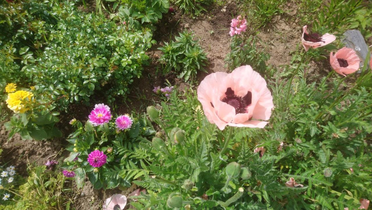 Le Bonheur A Portee De Mains Bergerac Zewnętrze zdjęcie